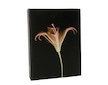 Album Doerr BLACK MAGIC pro 10x15 cm (200 foto)