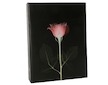 Album Doerr BLACK MAGIC pro 10x15 cm (200 foto)