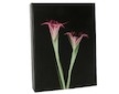 Album Doerr BLACK MAGIC pro 10x15 cm (200 foto)