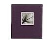 Doerr UniTex WINDOW Purple JUMBO album 100 stran 29x32 cm
