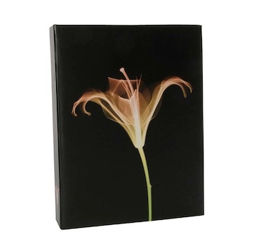 Album Doerr BLACK MAGIC pro 10x15 cm (200 foto)