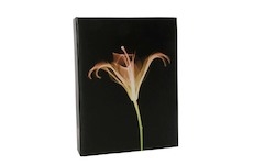 Album Doerr BLACK MAGIC pro 10x15 cm (200 foto)