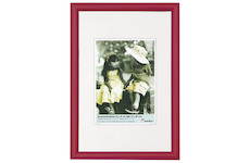 Fotorám Walther TRENDSTYLE pro 13x18 cm