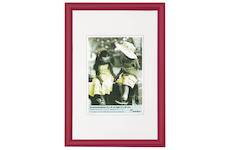 Fotorám Walther TRENDSTYLE pro 62x93 cm Poster