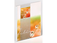 Minialbum Walther FELICITY pro 13x18 cm (20 foto)