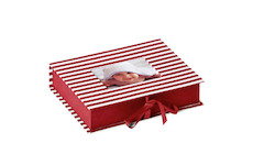 Photobox Walther STRIPE Red 21,7x15,4x4,7 cm